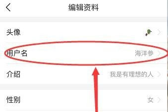 今天頭條怎樣修正用戶名