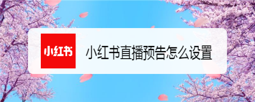 小紅書怎么發(fā)布直播預告